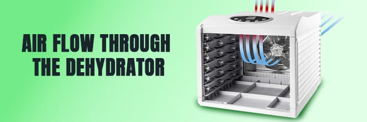 Air Flow Through the Dehydrator