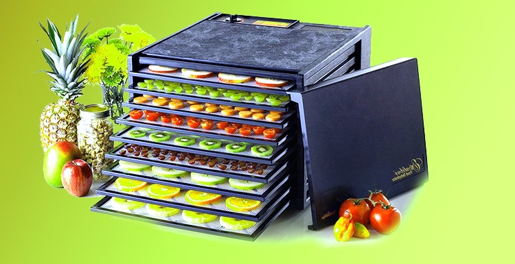 Types of Food Dehydrators