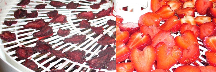 Heat Release to the Fruits