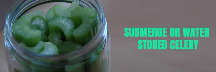 Submerge or Water Stored Celery