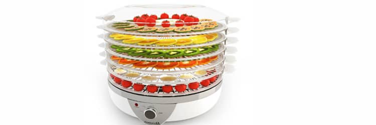 Vertical Flow Type Fruit Dehydrator