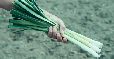 How To Cook Leeks - Easy Leek Recipes